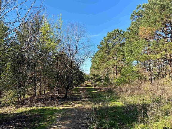 2nd image of 1 County Road 1135