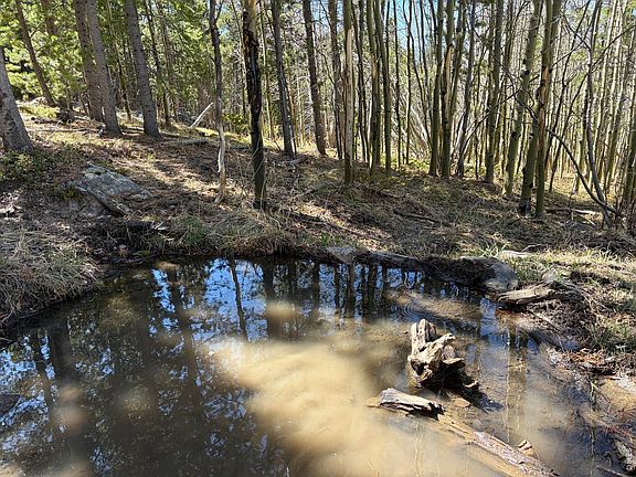 2nd image of 2174 Bear Gulch Rd
