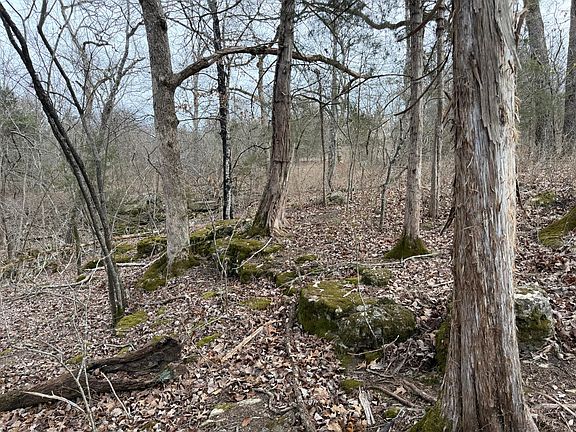 5th image of 000 Tall Timber Circle