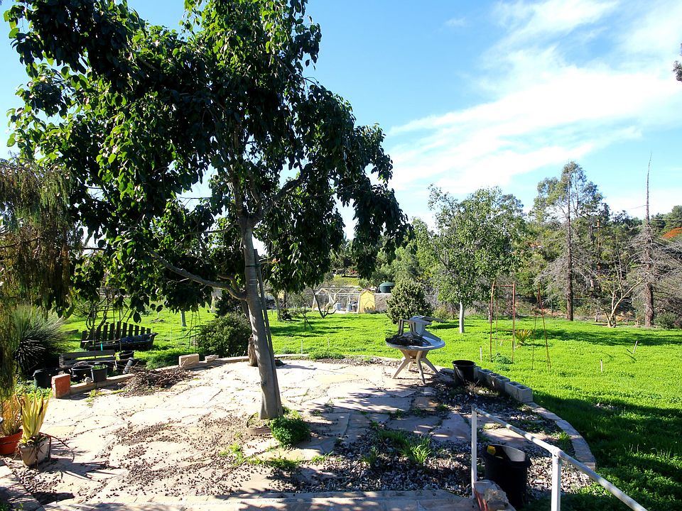 2nd image of 1154 Capra Way