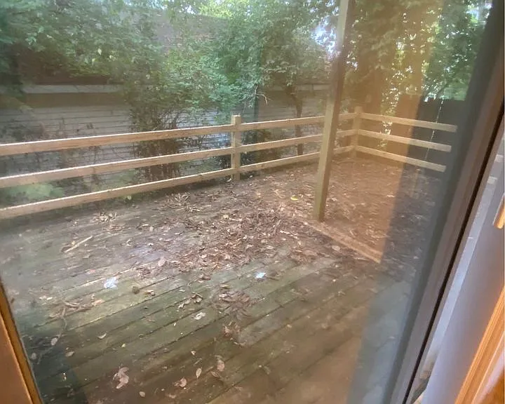 Back Deck