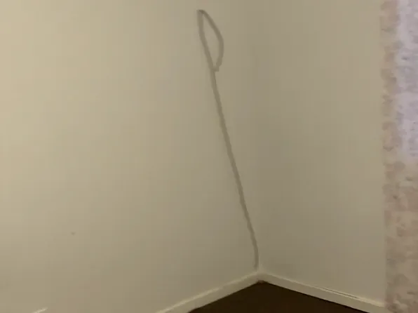 8111 S Muskegon Ave #2NDFL, Chicago, IL 60617