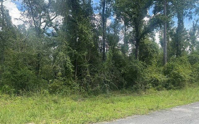 1st image of 5-6 237th Ct