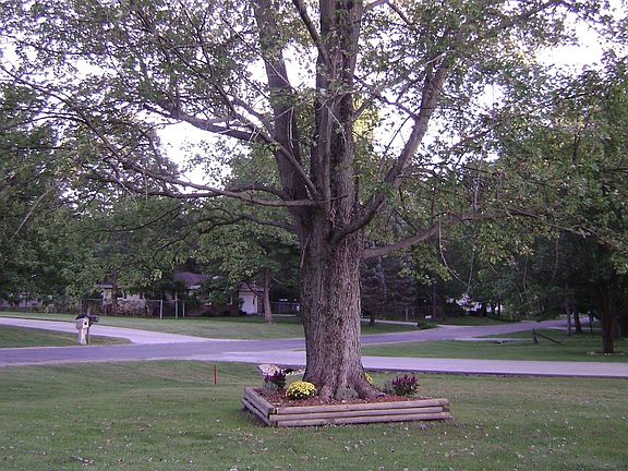 2nd image of 2100 Stoner Dr E