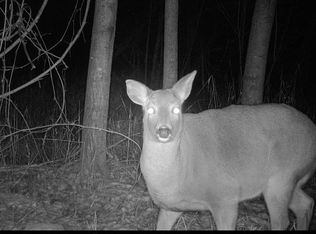 Swamp Rd, Brussels, WI 54204