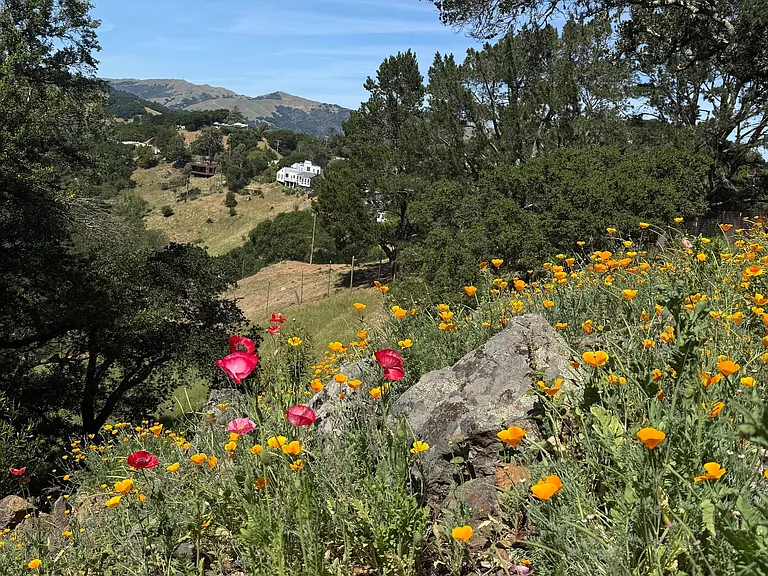 Fawn Dr — Photo 18