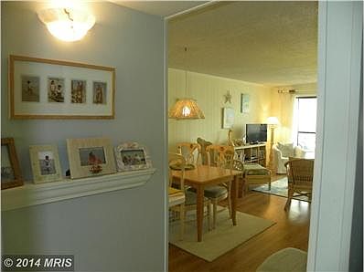 Interior (General)