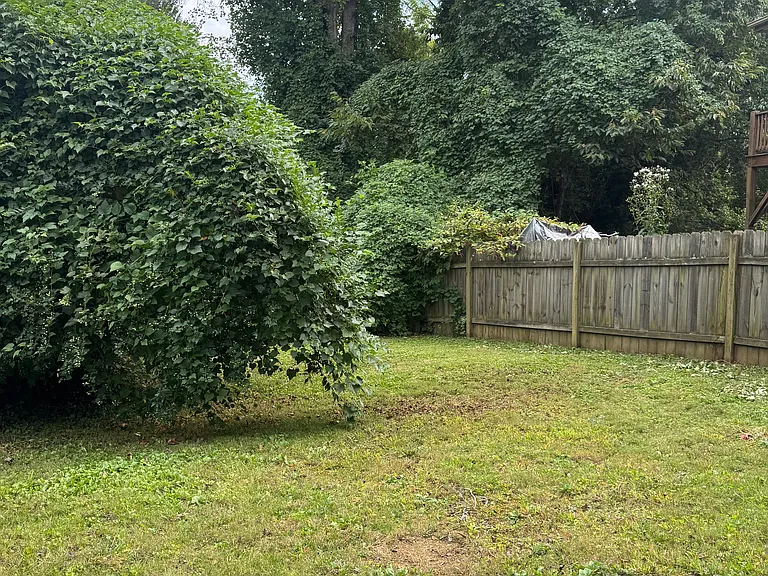 194 Sulphur Springs Rd — Photo 12