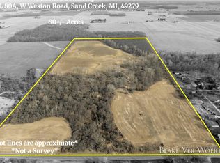 W Weston Rd, Sand Creek, MI 49279
