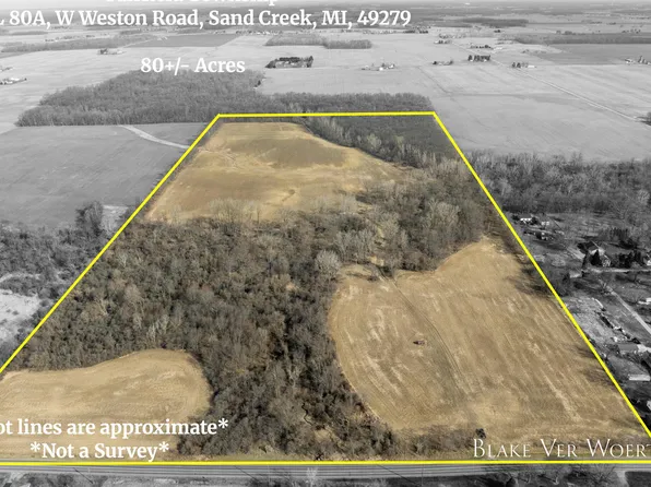 W Weston Rd, Sand Creek, MI 49279