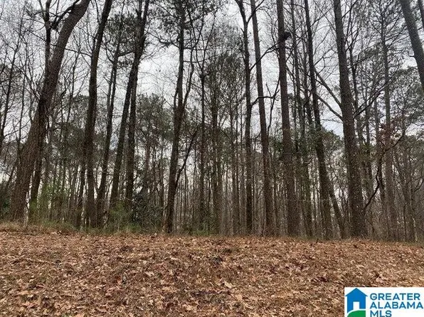 The Trce W #5, Jasper, AL 35504