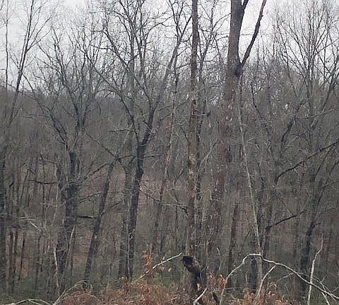 5th image of 55 Laurel Lake Dr