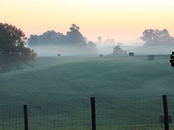 View from Breakfast Table