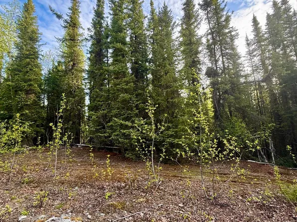 32664 Strauss Ct, Soldotna, AK 99669