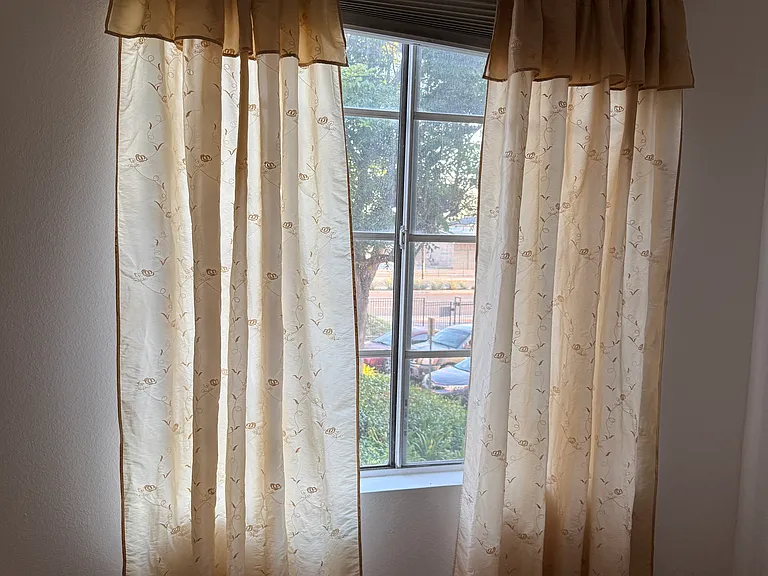 Living room window