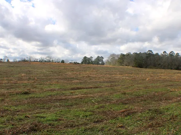 3 State Highway 33, Ashford, AL 36312