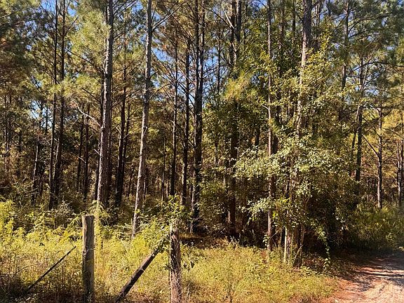 4th image of 21525 Gartman Jones Rd