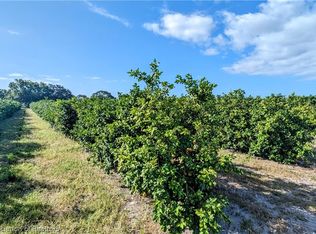 8002 Crewsville Rd, Zolfo Springs, FL 33890