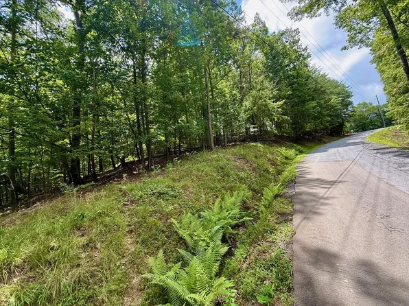 LOT 7 Stirratt Rd, Ranger, GA 30734