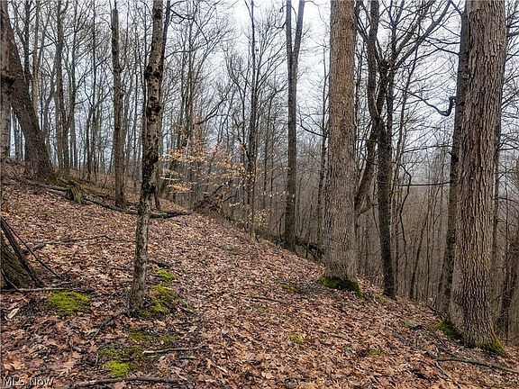 5th image of 0 Township Rd Tract 9