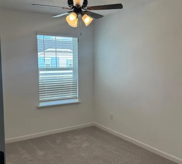 3958 Ornamental Ln — Photo 18