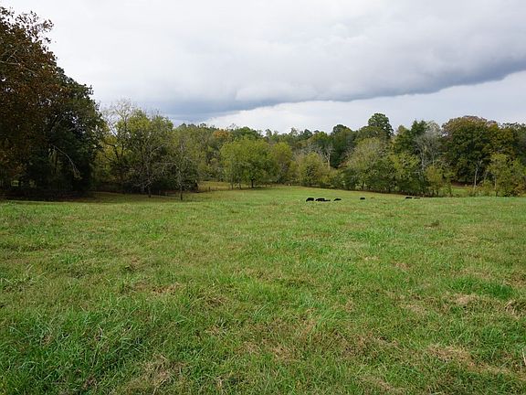 Lower pasture.