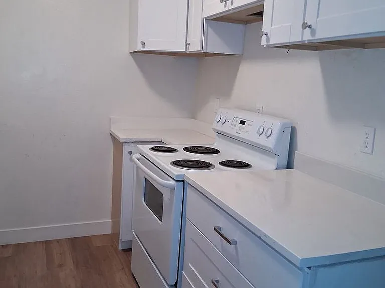 1820 Terry Ln — Photo 11