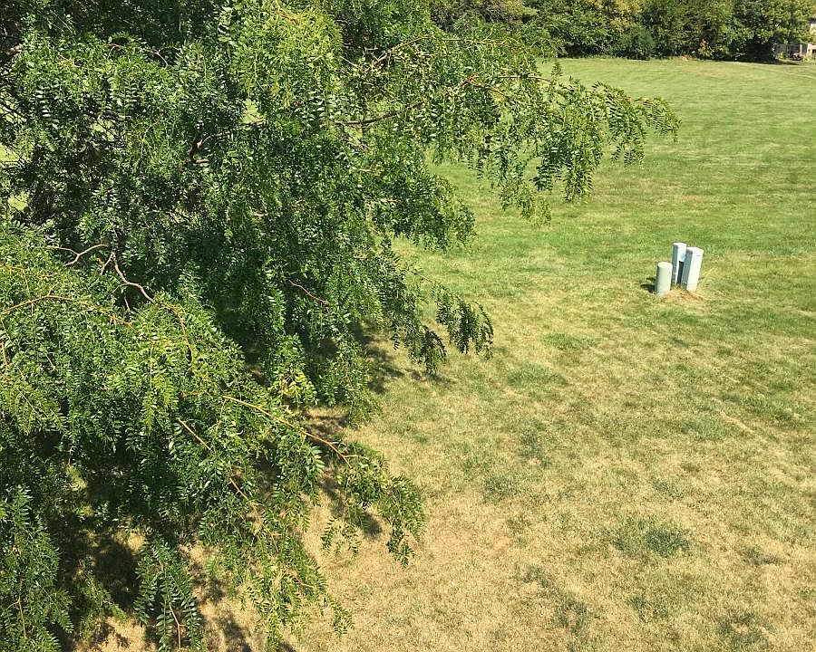 Backyard from Deck