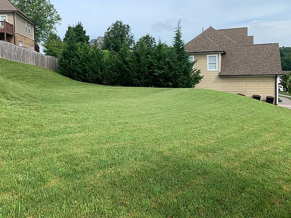 2nd image of 10333 Ivy Hollow Dr
