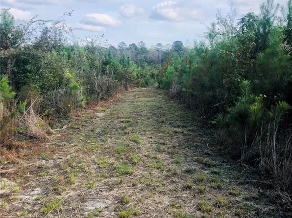 0 Thompson Rd, Stockton, AL 36579