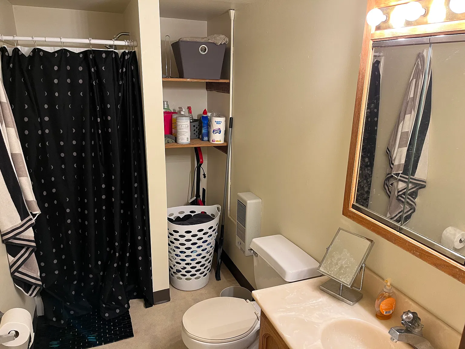 Studio, $830 — Photo 4