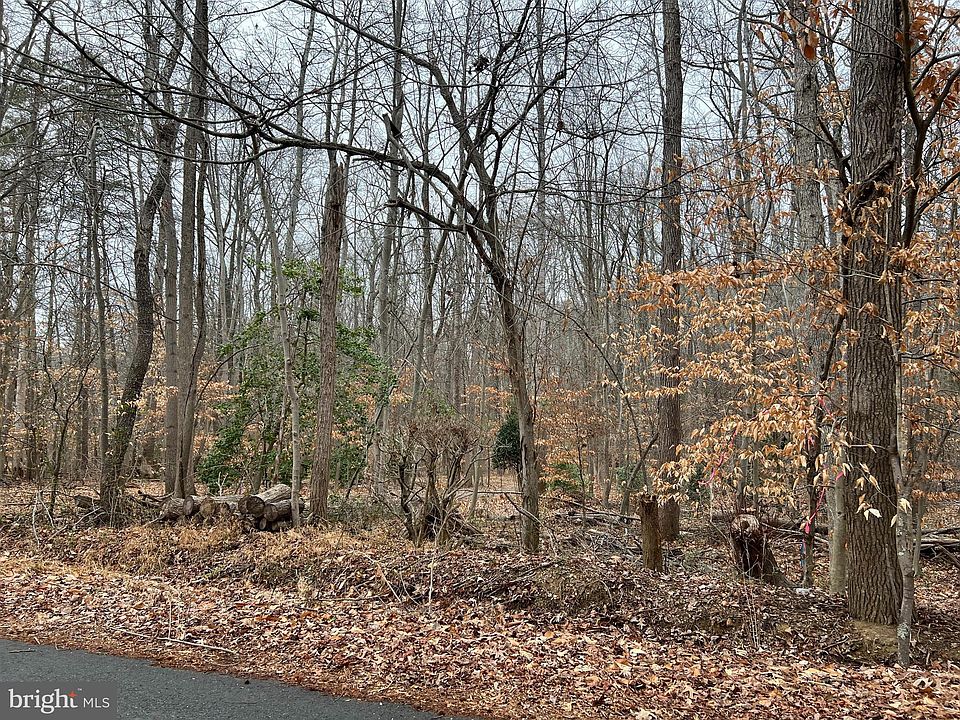 2nd image of 10339 Madison Dr