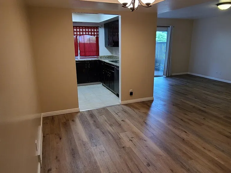 335 Peach Ln — Photo 8