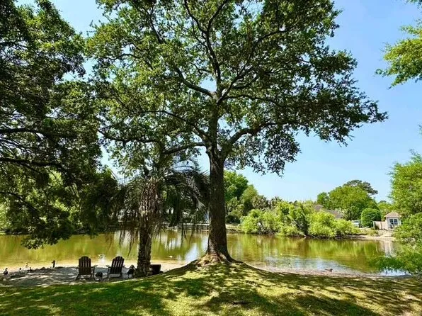 691 Blue Heron Run, Mount Pleasant, SC 29464