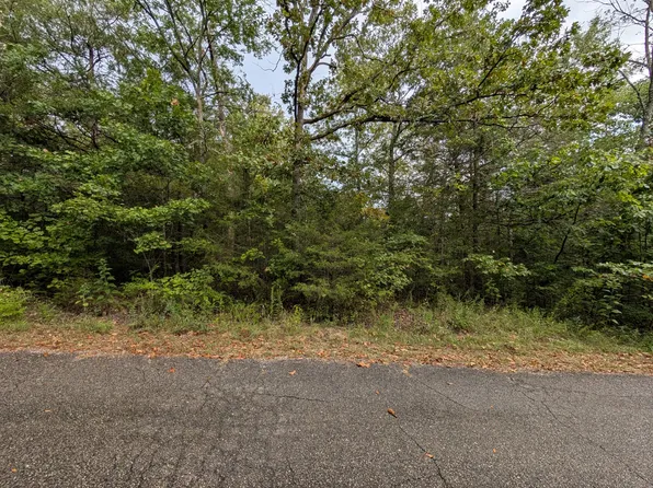 000 N Lot 296 Millstone Street, Shell Knob, MO 65747