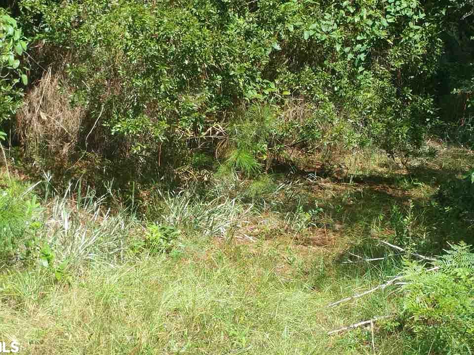 2nd image of 44524 Scenic Highway 98