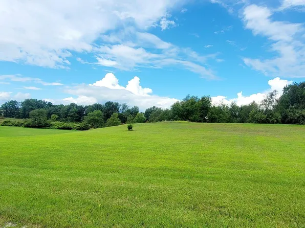 17118 Nollar Ln, Manchester, MI 48158