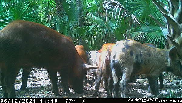 1st image of 21435 NW 250th St