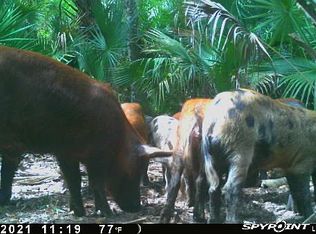 21435 NW 250th St, Okeechobee, FL 34972