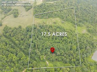 30939 Jacks Run Rd, Quaker City, OH 43773