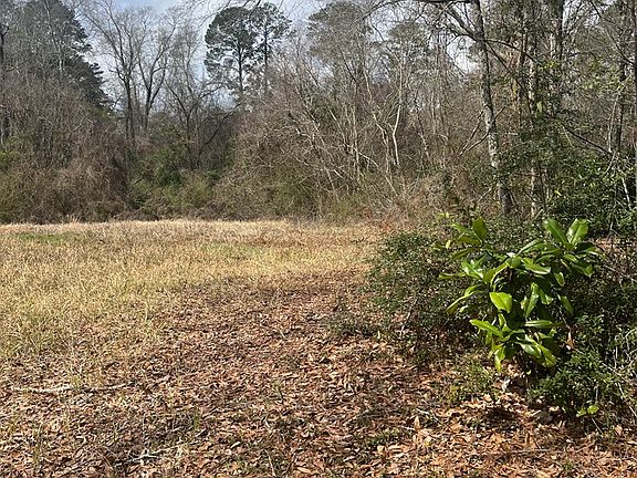 3rd image of University Ave