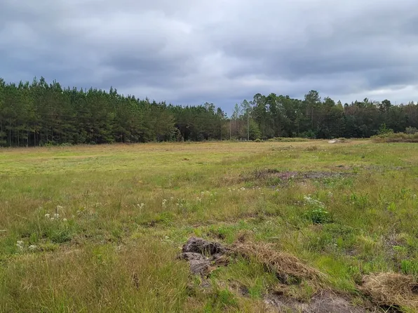88 Rogers Break Rd, Jesup, GA 31546