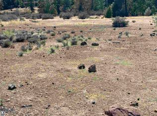 422 Buckthorn Dr, Murphys, CA