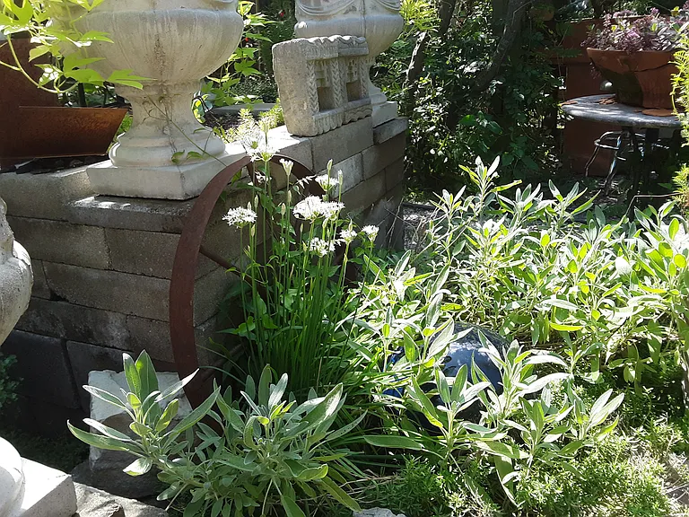 attractive plantings