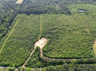 0 SE Valley Lane Ln, Bogue Chitto, MS 39629