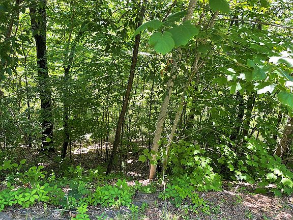 2nd image of LOT-33B Grandview Dr