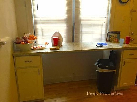 4th image of 1501 N Wicker Park Ave APT 1