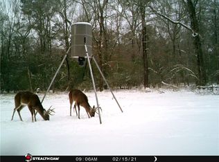 473 Fm 3478 Rd, Huntsville, TX 77320