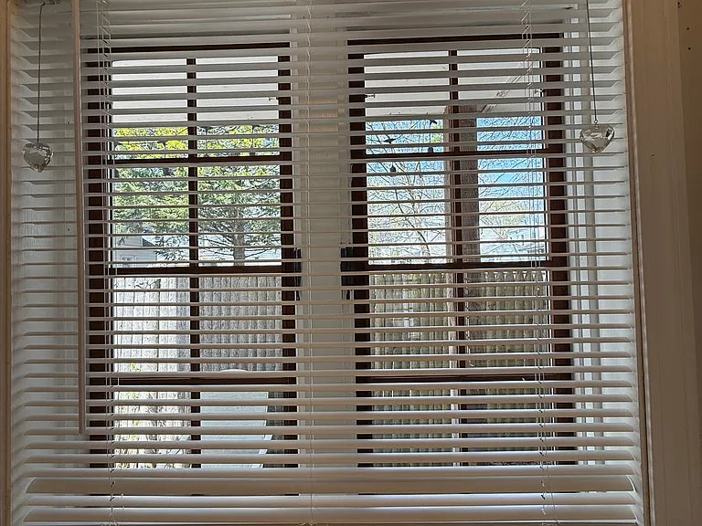 2 Flanders Ct #1 — Photo 7