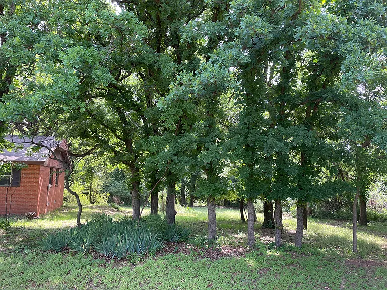 1000 Liveoak Dr — Photo 5